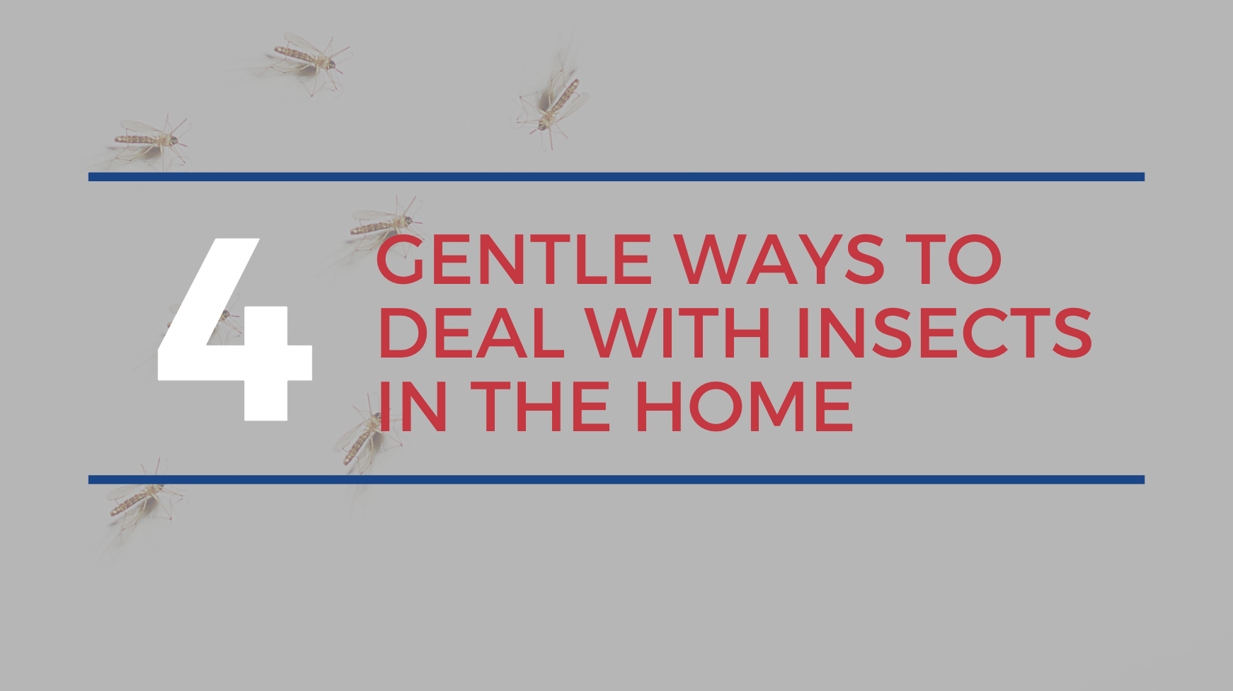 Guelph Real Estate Agents - Gentle Ways to Deal with Insects